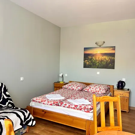 Goscinne Zbojnik Penzion