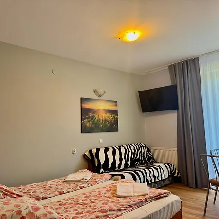 Goscinne Zbojnik Guest house *